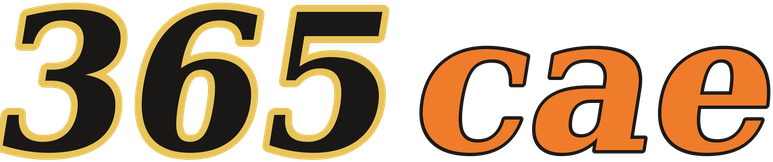 365cae logo